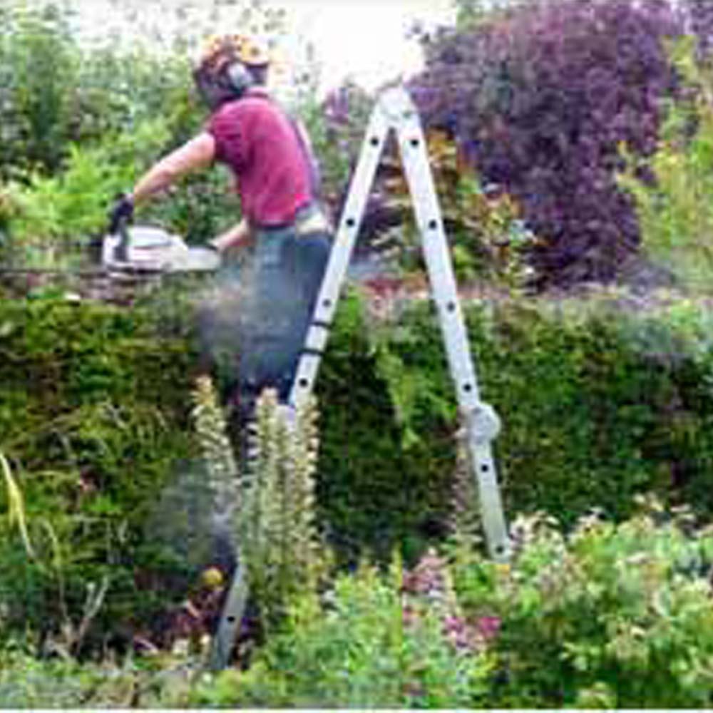 hedge cutting service at Avon Tree and Gardening Services